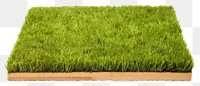 PNG Green grass field plant green lawn. AI generated Image by rawpixel.