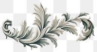 PNG Acanthus leaves pattern drawing art. 