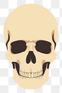 PNG Skull face anthropology sunglasses. AI generated Image by rawpixel.