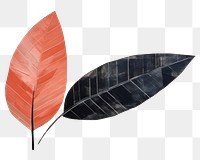 PNG Leaf painting drawing plant. 