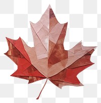 PNG Maple leaf plant tree backgrounds. AI generated Image by rawpixel.
