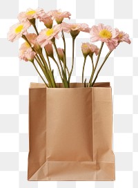 PNG Flower bag paper plant. 