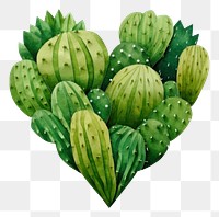 PNG Cactus heart plant fruit food. 