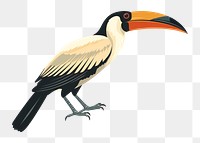 PNG Hornbill wildlife toucan animal. 