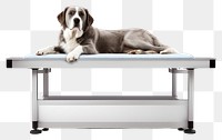 PNG Veterinary Treatment Table mammal animal hound. 