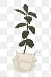 Potted plants png, aesthetic illustration, transparent background