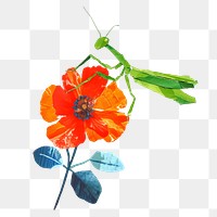 Dragonfly png flower, nature, creative paper craft collage, transparent background