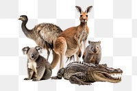 Australian wildlife png, animal remix, transparent background