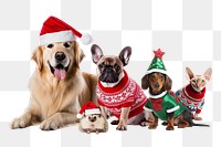 Christmas vibes png, animal remix, transparent background