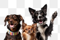 PNG cute pet dogs, animal remix, transparent background