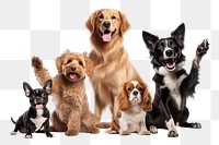 Pet dogs png, animal remix, transparent background