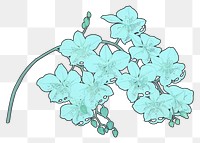 PNG Blue flower, vintage botanical illustration, transparent background. Remixed by rawpixel.