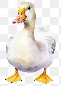 PNG Cute duck animal, watercolor illustration, transparent background