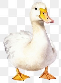 PNG Cute duck animal, watercolor illustration, transparent background