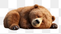 PNG  Lazy bear wildlife sleeping mammal. AI generated Image by rawpixel.