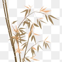 PNG Bamboo backgrounds plant pattern. 