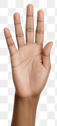 PNG Hand finger white background gesturing. 