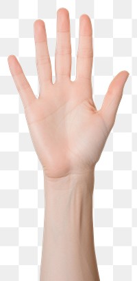 PNG Hand finger white background gesturing. 