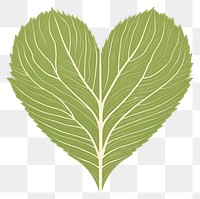 PNG Green heart leaf plant vegetable. 