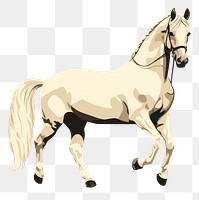 PNG Dressage horse stallion animal mammal. 