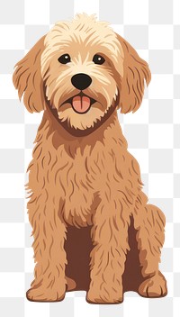 PNG Labradoodle pet mammal animal. 