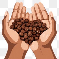 PNG Hands holding coffee bean freshness beverage produce. AI generated Image by rawpixel.