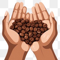 PNG Hands holding coffee bean freshness beverage produce. 