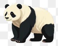 PNG Panda wildlife animal mammal. 