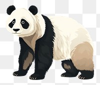 PNG Panda wildlife animal mammal. 