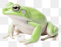 PNG Whites tree frog amphibian wildlife reptile. AI generated Image by rawpixel.