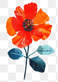 PNG Flower petal plant poppy. 