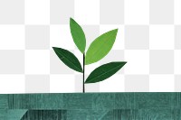 PNG Plant green leaf art. AI generated Image by rawpixel.