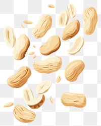 PNG Falling peanut seeds food white background freshness. 