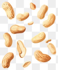 PNG Falling peanut seeds food white background freshness. 