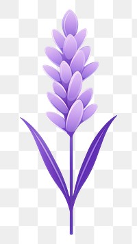 PNG A lavender flower plant  