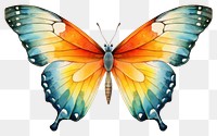 PNG Butterfly insect animal  