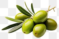 PNG Olives fruit plant food. 