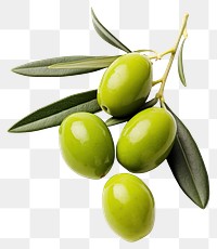 PNG Olive fruit plant food