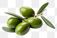 PNG Olives plant food leaf. 