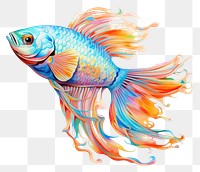 PNG Fish goldfish swimming drawing. 