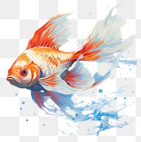 PNG Goldfish animal underwater wildlife. 