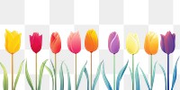 PNG Tulip flower plant line. AI generated Image by rawpixel.