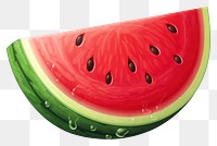 PNG Water melon watermelon fruit plant. 