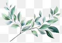 PNG Pattern plant herbs leaf