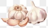 PNG Vegetable garlic plant food. 