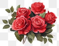 PNG Red roses bouquet flower plant red.