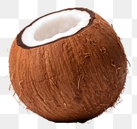 PNG Coconut sports brown plant. 