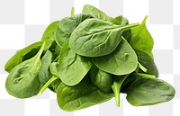 PNG Spinach vegetable plant green. 