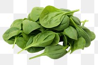 PNG Spinach vegetable plant green. 