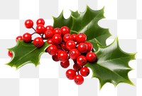 PNG Christmas holly plant food leaf.